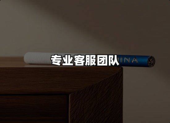 专业优势